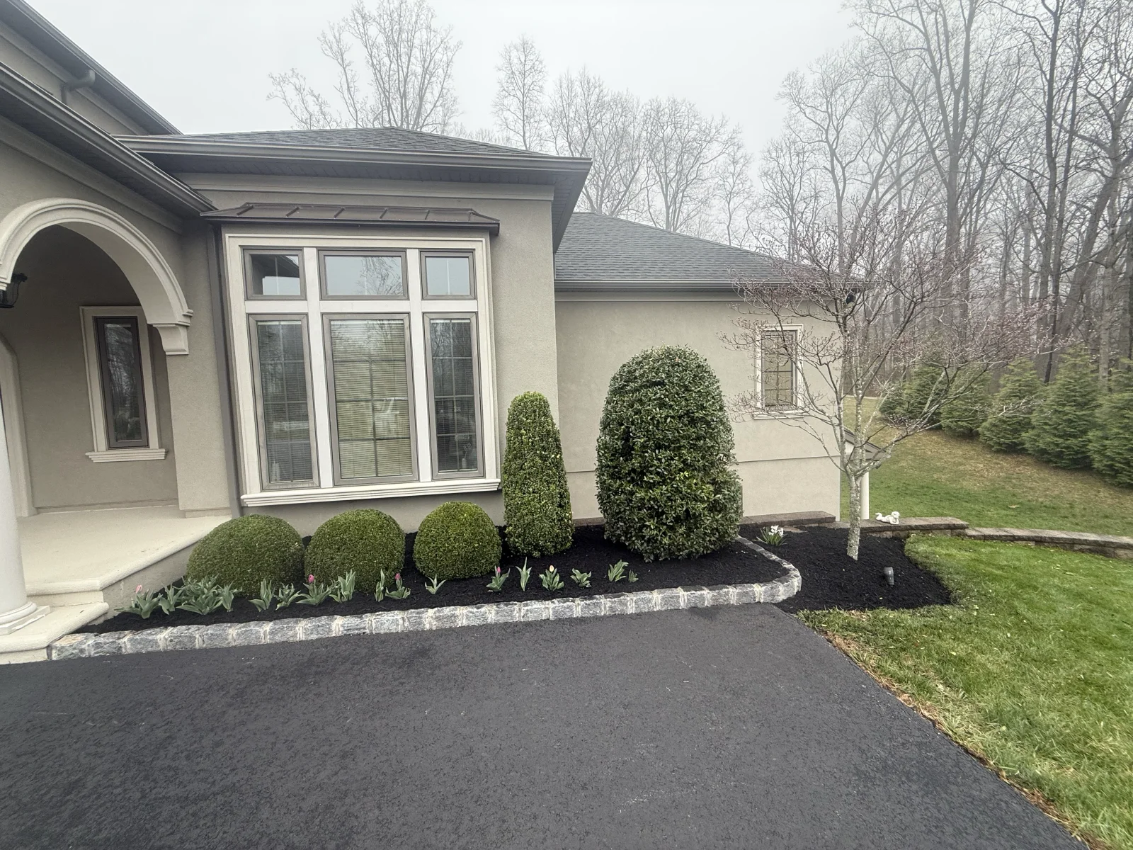 Front landscape hedge trimming and shrub cleanup