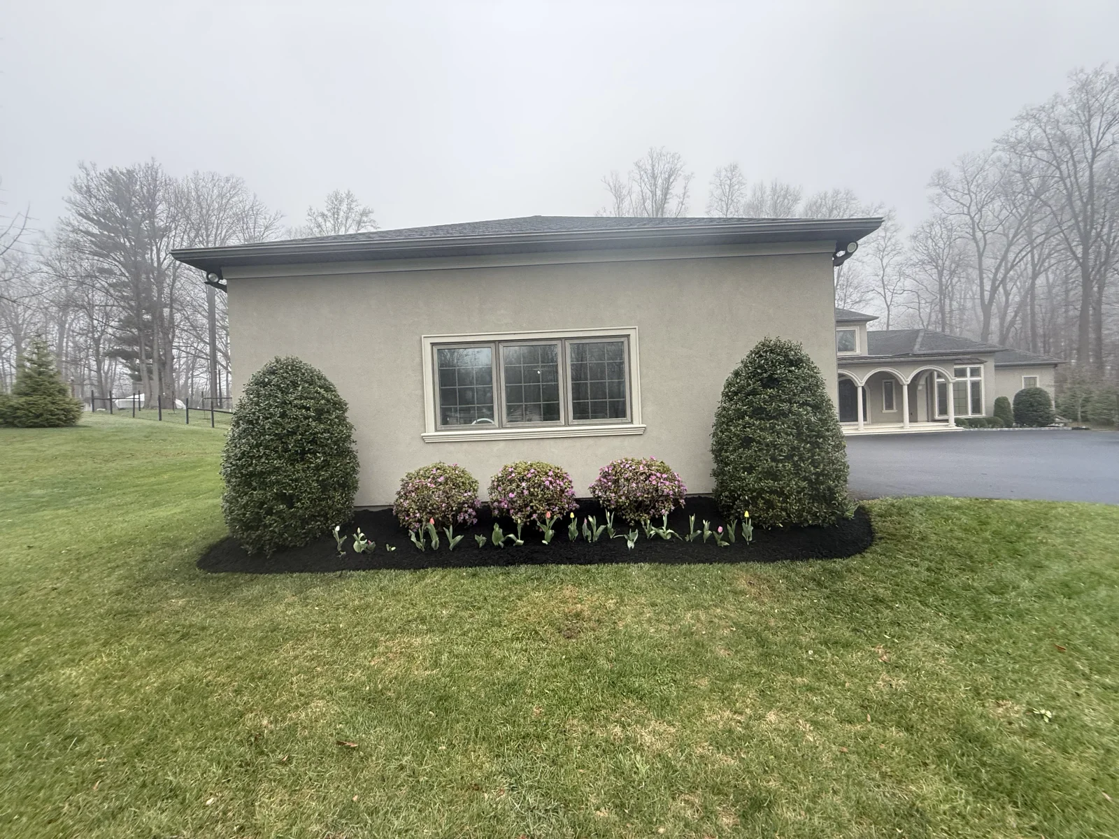 Detailed shrub shaping after hedge trimming service