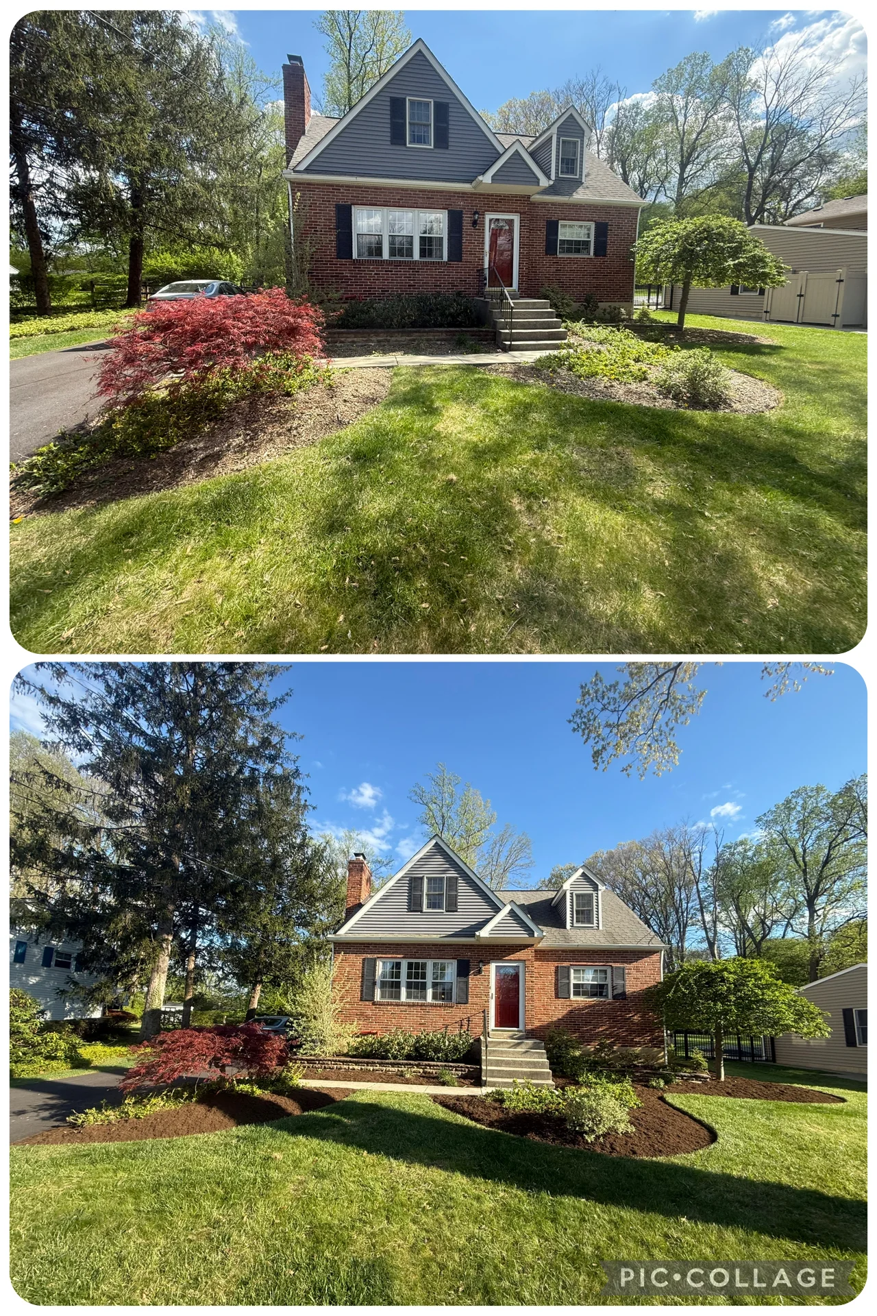 Fresh yard cleanup detail with cleared outdoor space