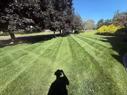 Clean lawn lines after weekly mowing