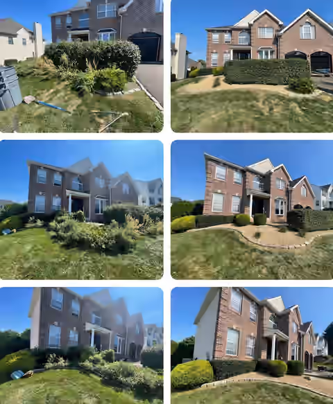 Neatly trimmed hedge and shrub landscaping service